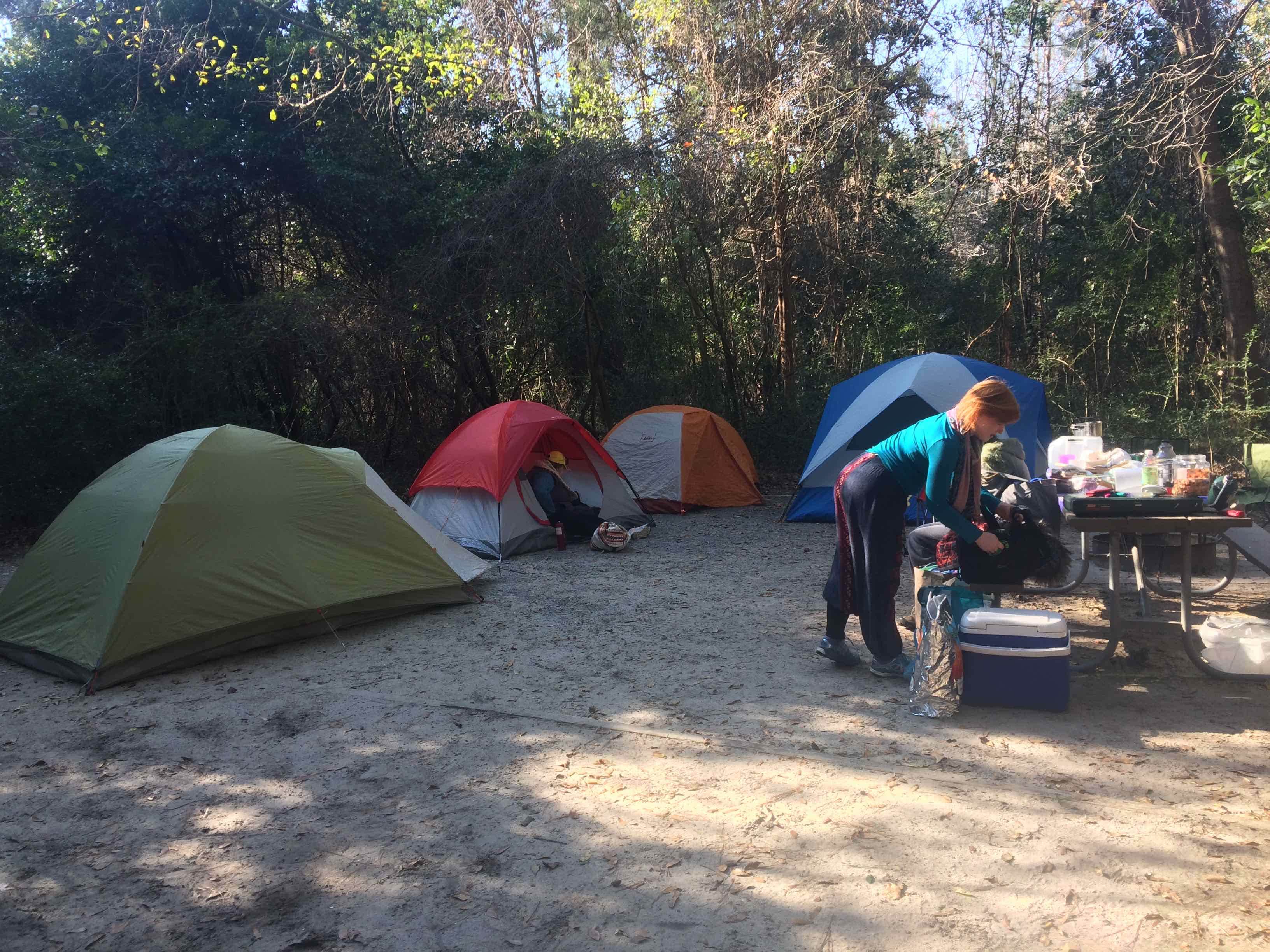 Caroline G.'s photo at Carolina Beach State Park Campground near Oak Island, NC