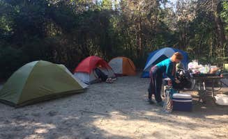 Caroline G.'s photo at Carolina Beach State Park Campground near Carolina Beach, NC
