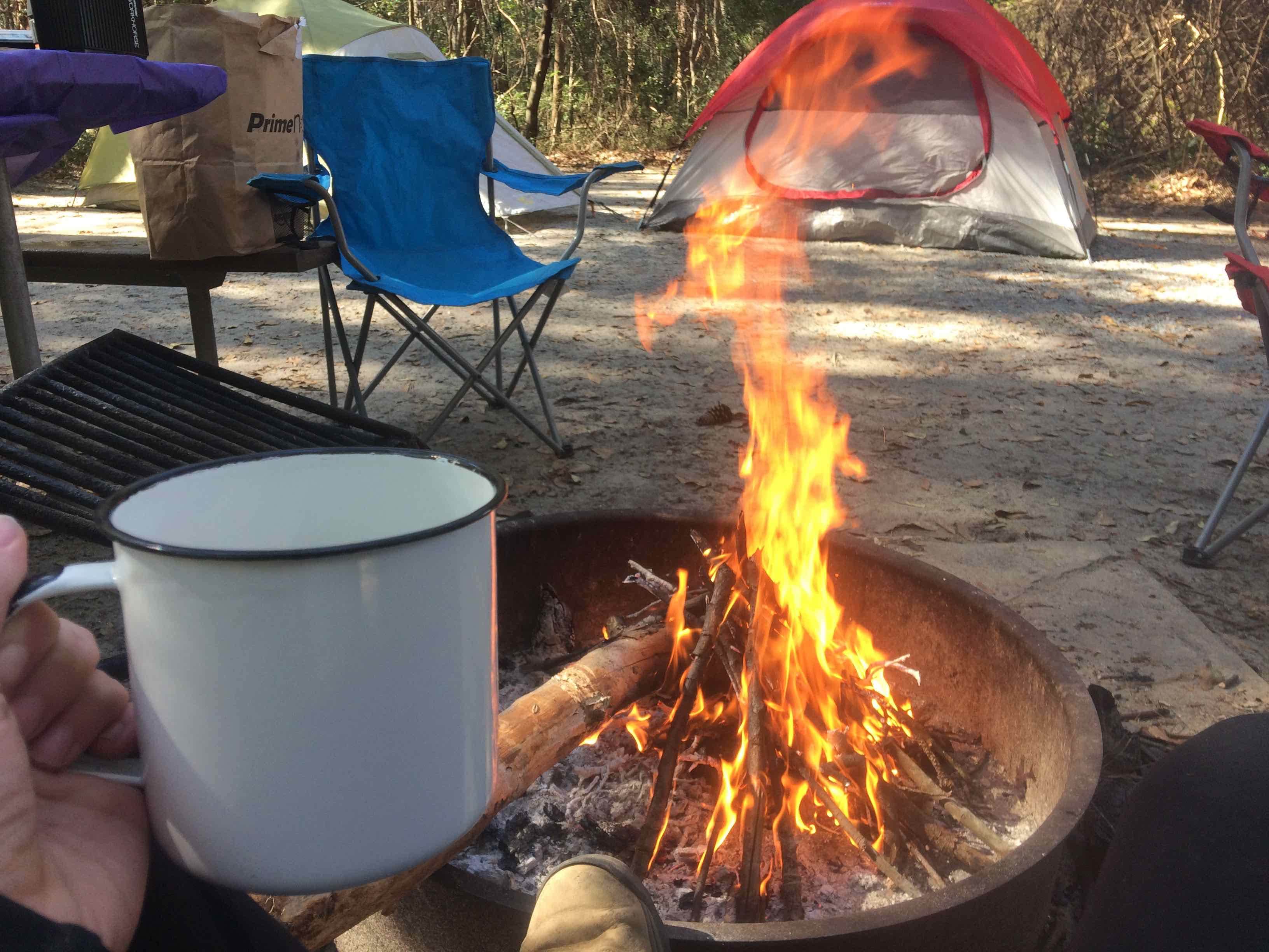 Caroline G.'s photo at Carolina Beach State Park Campground near Winnabow, NC
