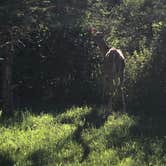 Review photo of Addison Oaks County Park by Beth G., August 4, 2018