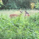 Review photo of Addison Oaks County Park by Beth G., August 4, 2018