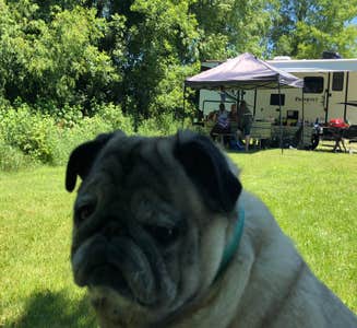Camper-submitted photo from Bruin Lake Campground — Pinckney Recreation Area