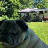 Review photo of Addison Oaks County Park by Beth G., August 4, 2018