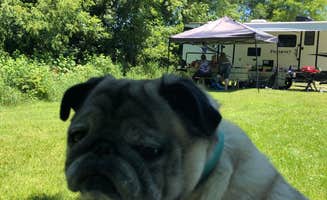 Beth G.'s photo of camping with pets at Addison Oaks County Park near Grand Blanc, MI