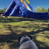 Review photo of Addison Oaks County Park by Beth G., August 4, 2018