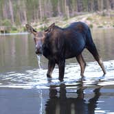 Review photo of East Portal Campground at Estes Park by Amanda M., August 5, 2018