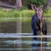 Review photo of East Portal Campground at Estes Park by Amanda M., August 5, 2018