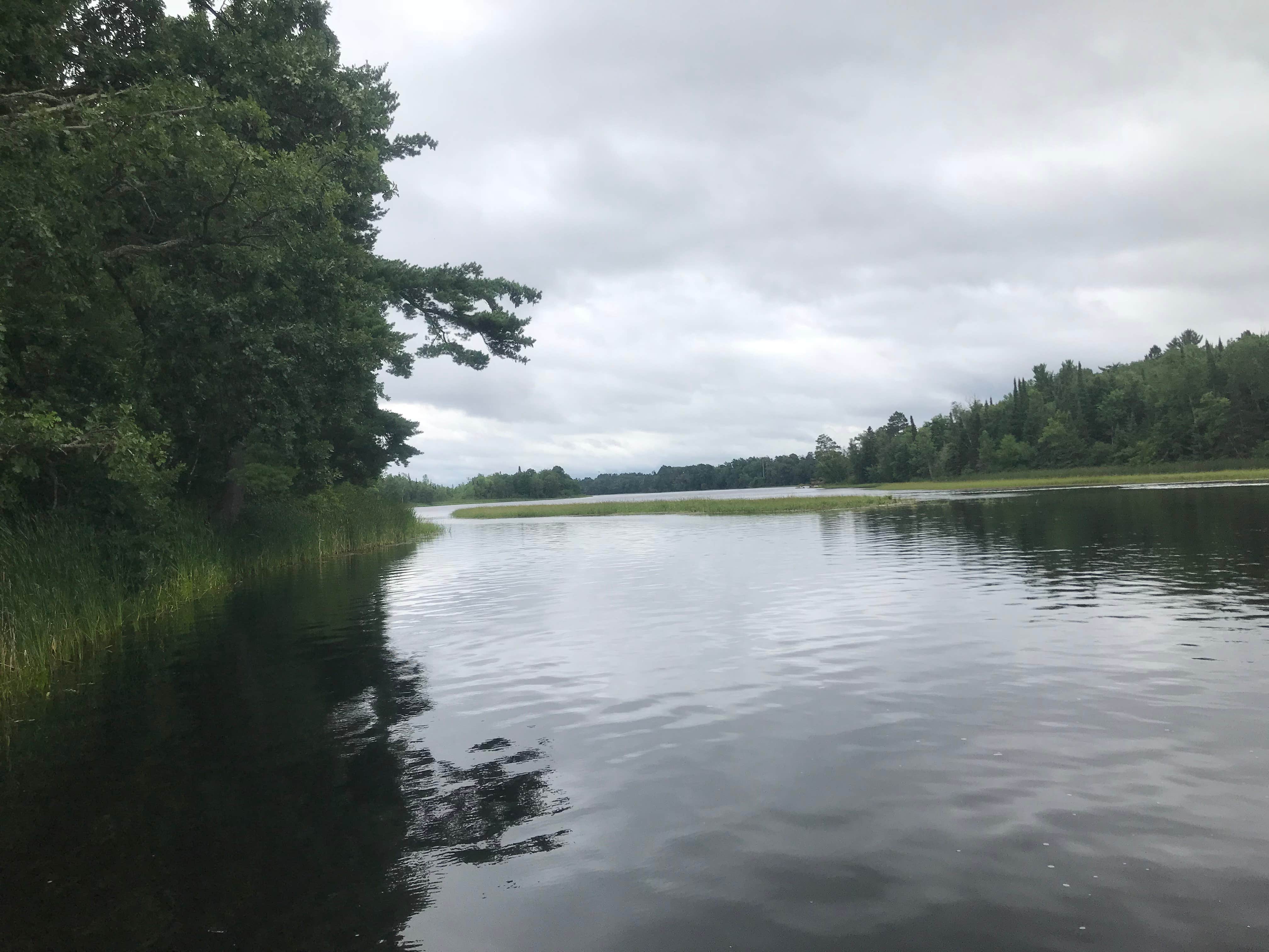 Camper submitted image from Pokegama Dam Campground - 5