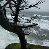 Review photo of Cape Disappointment State Park Campground by Cadie H., August 5, 2018