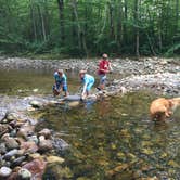Review photo of Maple Haven Campground by Jeannine D., August 5, 2018