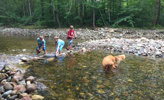 Jeannine D.'s photo of camping with pets at Maple Haven Campground near West Newbury, VT