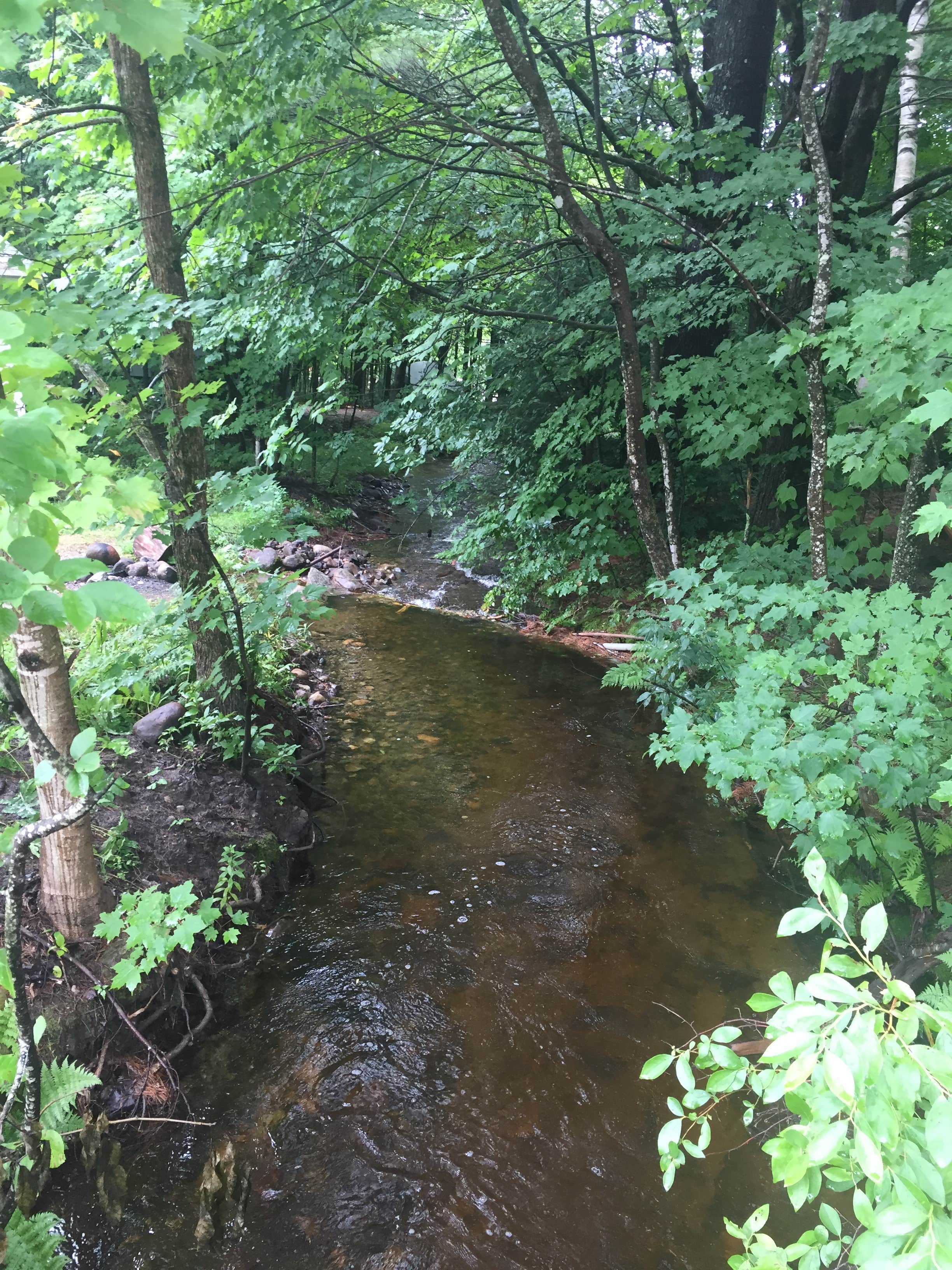Camper submitted image from Maple Haven Campground - 5