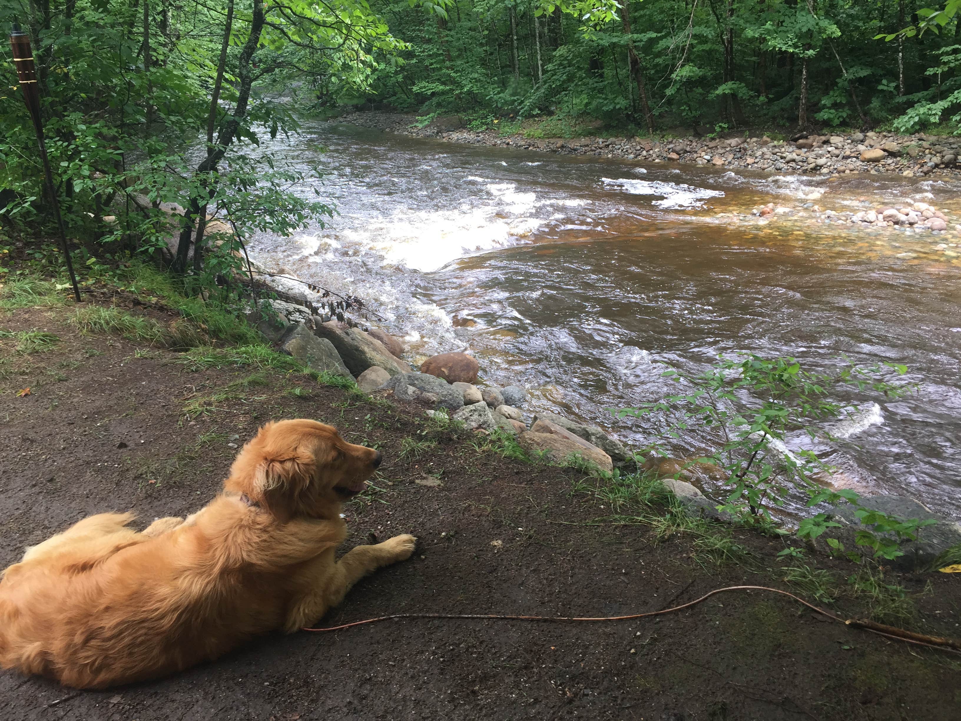 Camper submitted image from Maple Haven Campground - 2