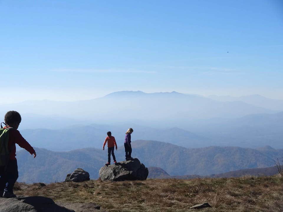 Camper submitted image from Roan Mountain State Park Campground - 5