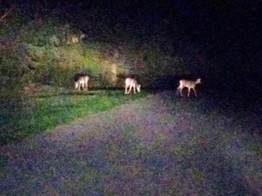 Camper-submitted photo at Green Lakes State Park Campground in New York