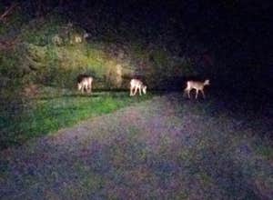 Green Lakes State Park Campground