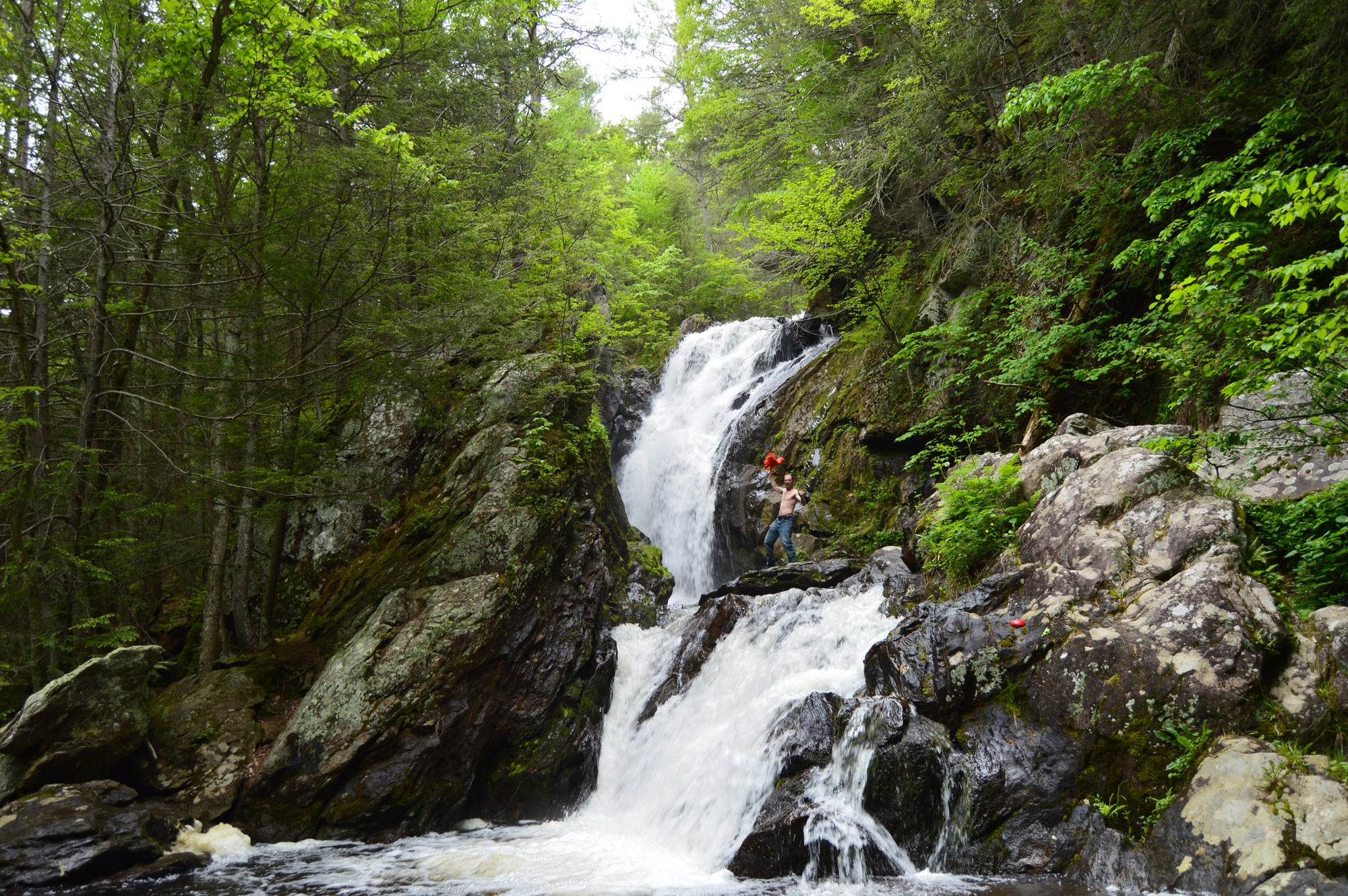 People hike along rocks on the side of a waterfall in the forest.
