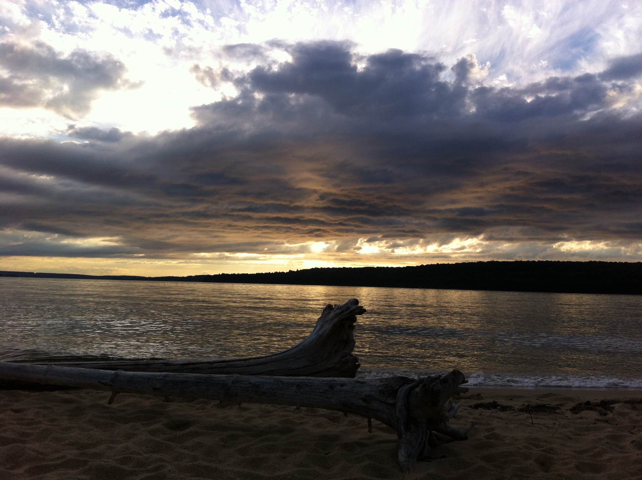 Camper submitted image from Traverse City State Park Campground - 5