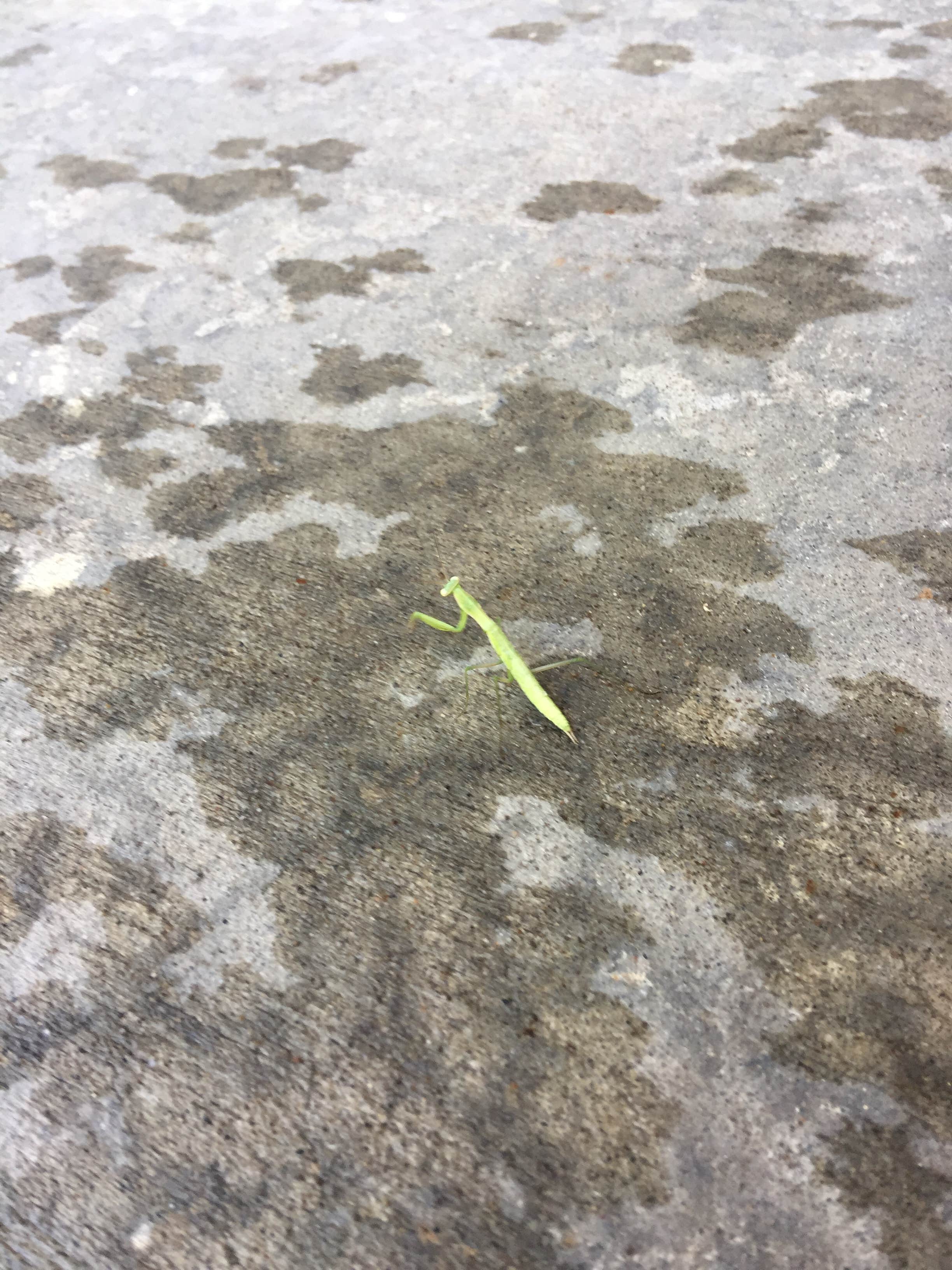 Camper-submitted photo at Hell Creek Receation Area near Jordan, MT