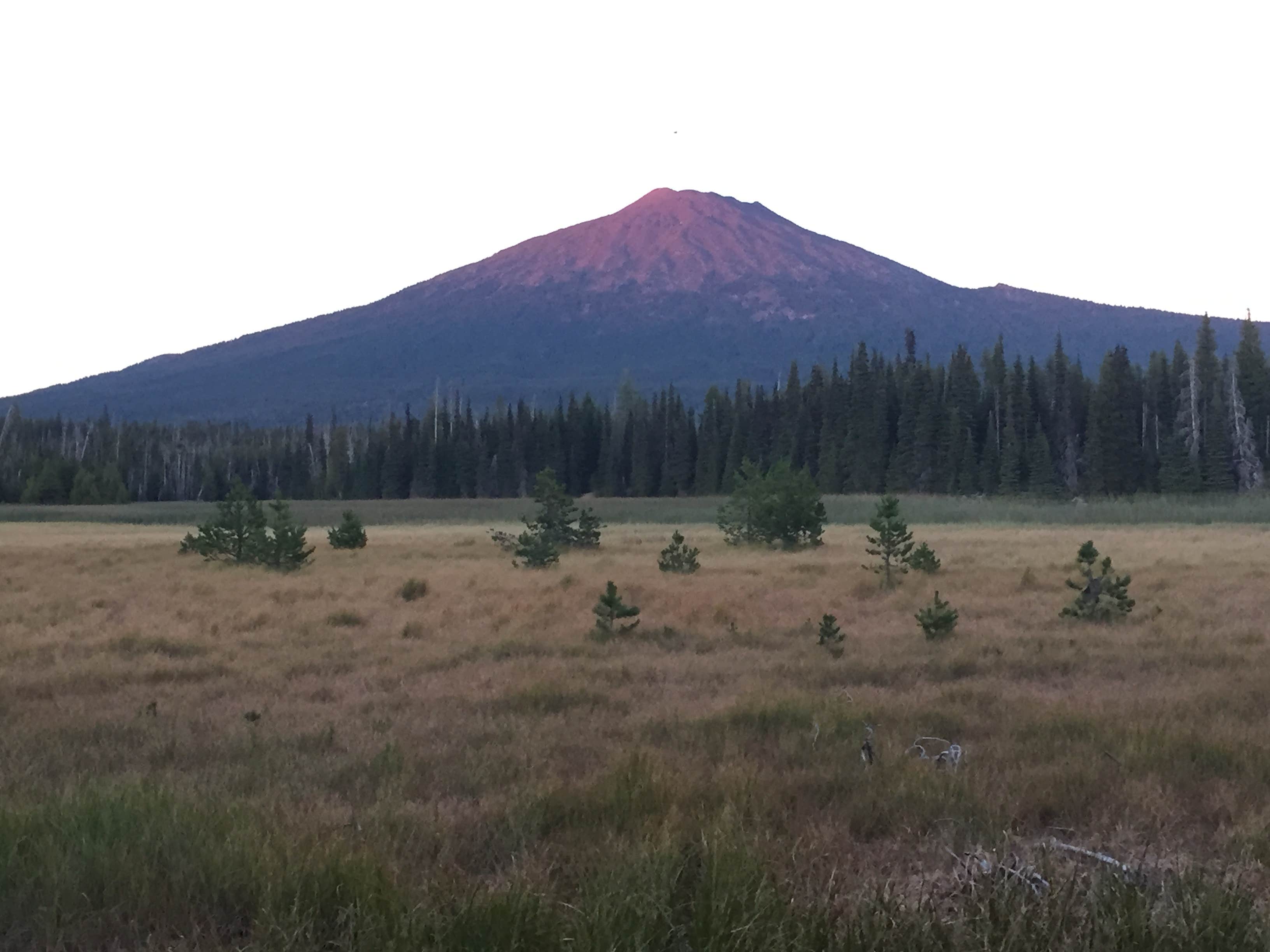 Camper submitted image from Mallard Marsh Campground - 2