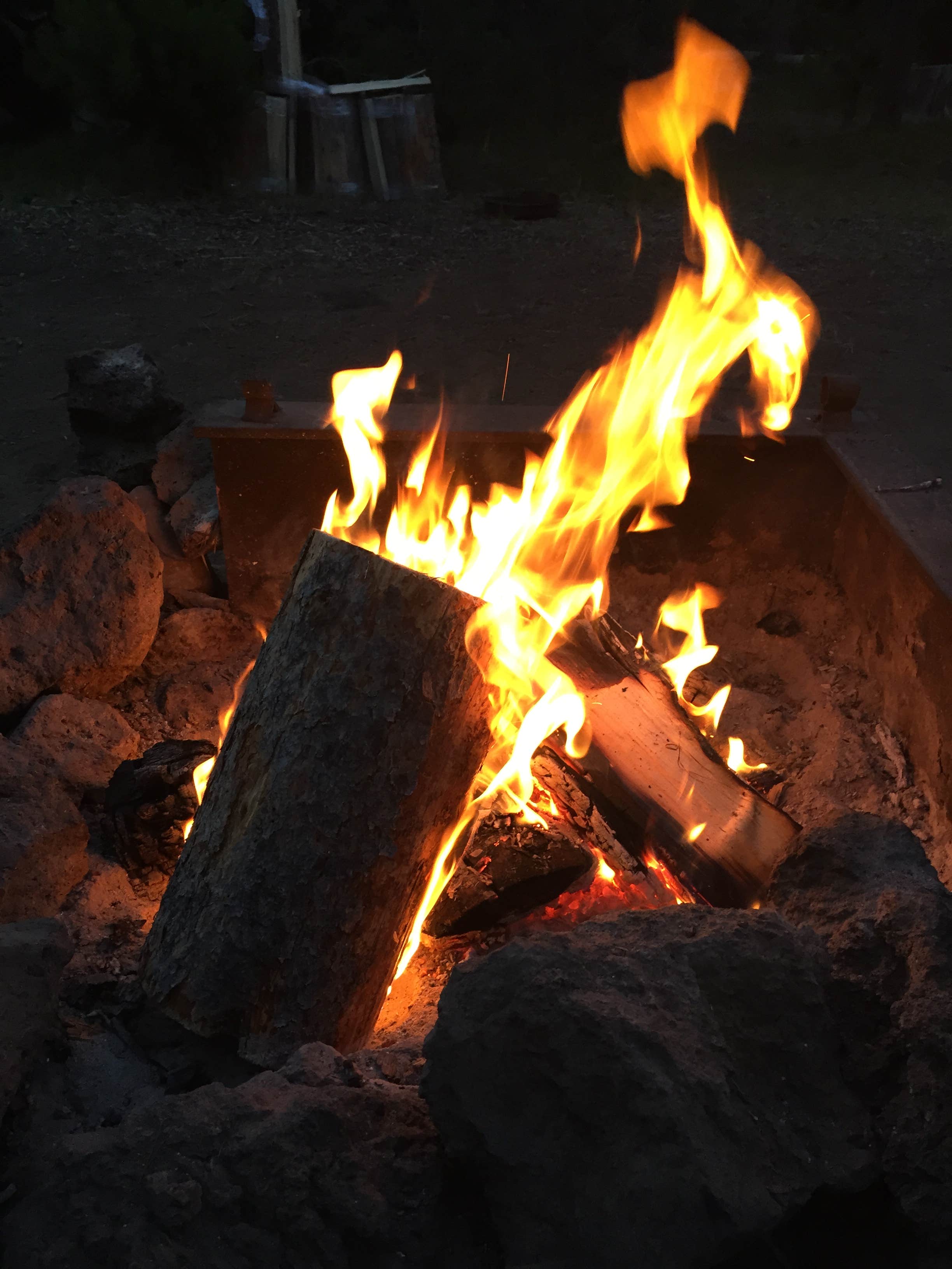 Camper submitted image from Mallard Marsh Campground - 4