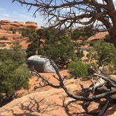 Review photo of Devils Garden Campground — Arches National Park by Dawn W., August 5, 2018