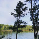 Review photo of Poplar Point Campground — Jordan Lake State Recreation Area by Elizabeth T., August 5, 2018