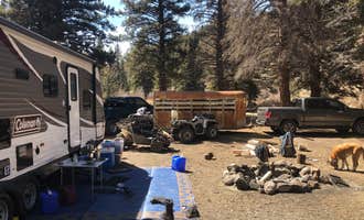 Camping near Silver Creek on Country Road 47: Marshall Pass, Poncha Springs, Colorado