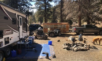 Camping near Brewery Creek Guard Station: Marshall Pass, Poncha Springs, Colorado