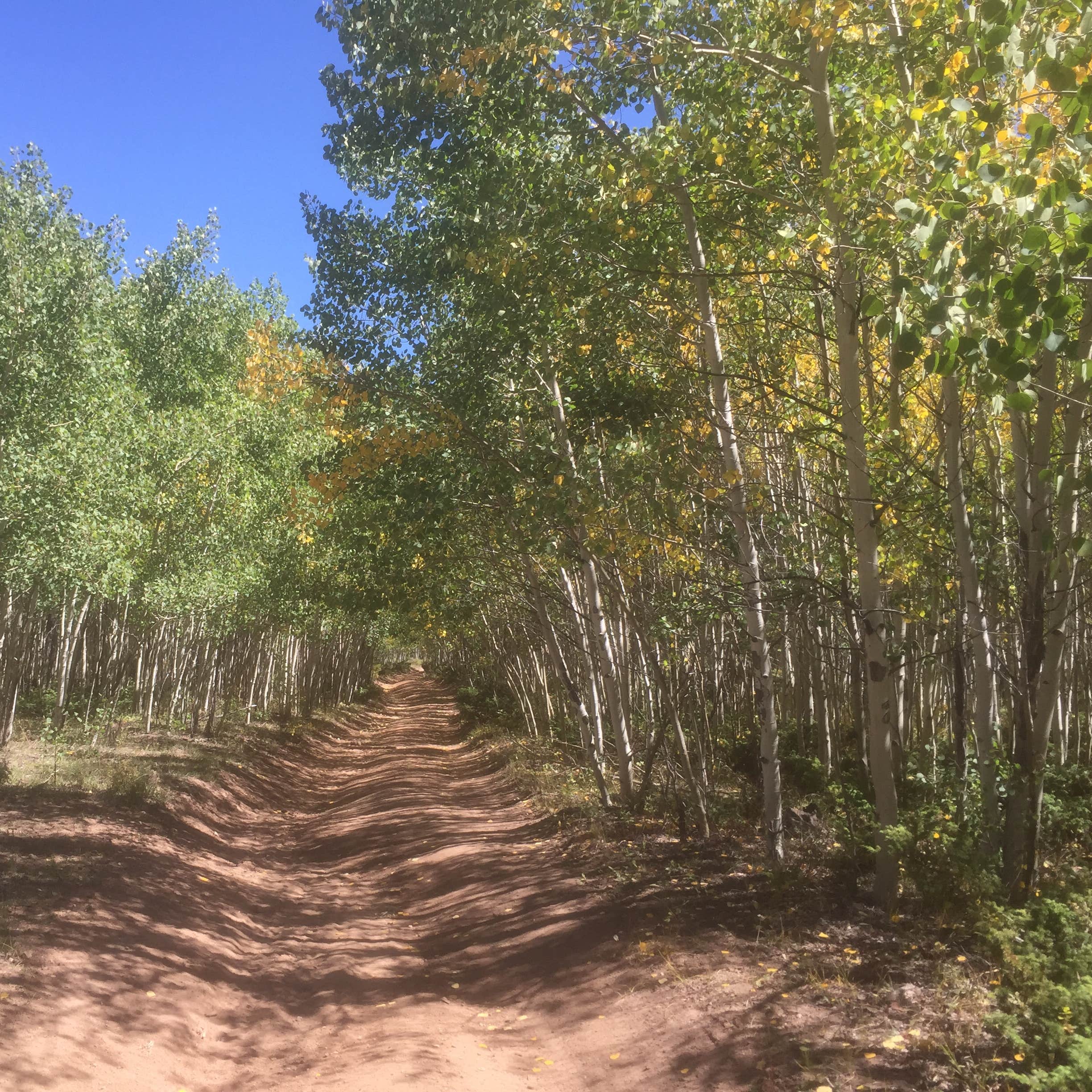 Marshall Pass Camping The Dyrt