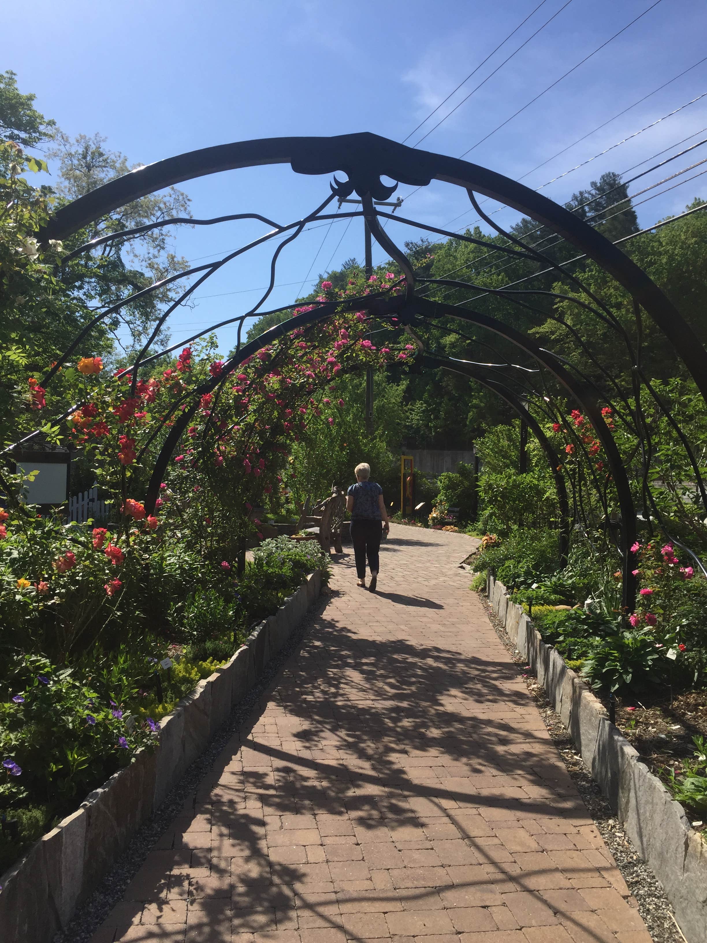 Camper-submitted photo at Hickory Nut Falls Family Campground near Flat Rock, NC