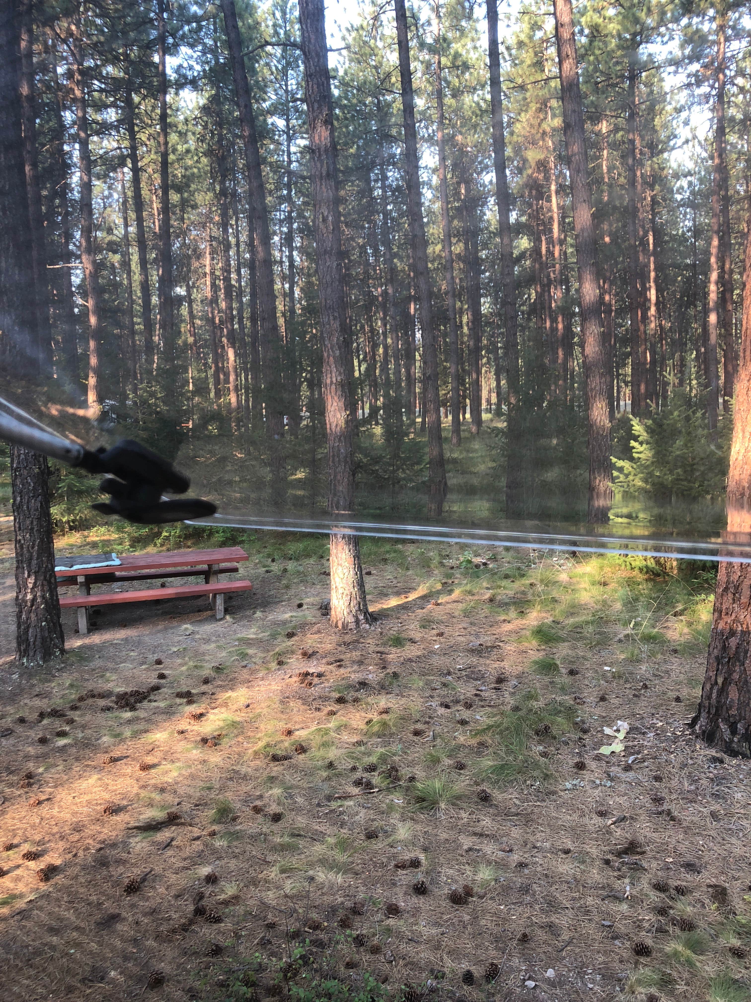 Camper submitted image from Quartz Flat Campground - 4