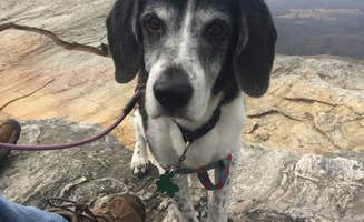 Caroline G.'s photo of camping with pets at Hanging Rock State Park Campground near Claudville, VA