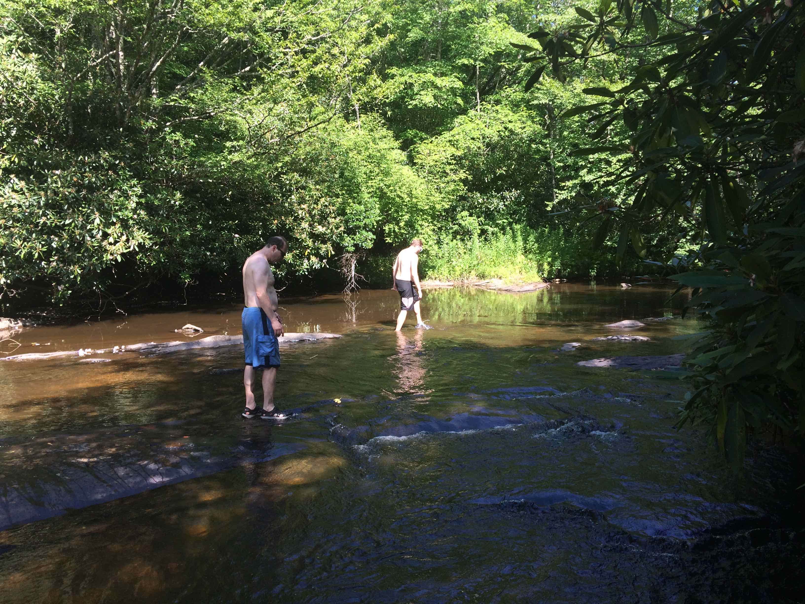 Camper submitted image from Boone Fork Campground - 2