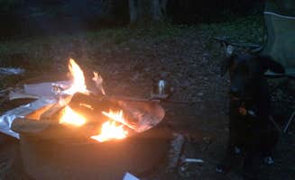 Caroline G.'s photo at Boone Fork Campground near Blowing Rock, NC