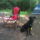 Review photo of Boone Fork Campground by Caroline G., August 5, 2018