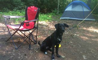 Caroline G.'s photo of tent camping at Boone Fork Campground near Newland, NC