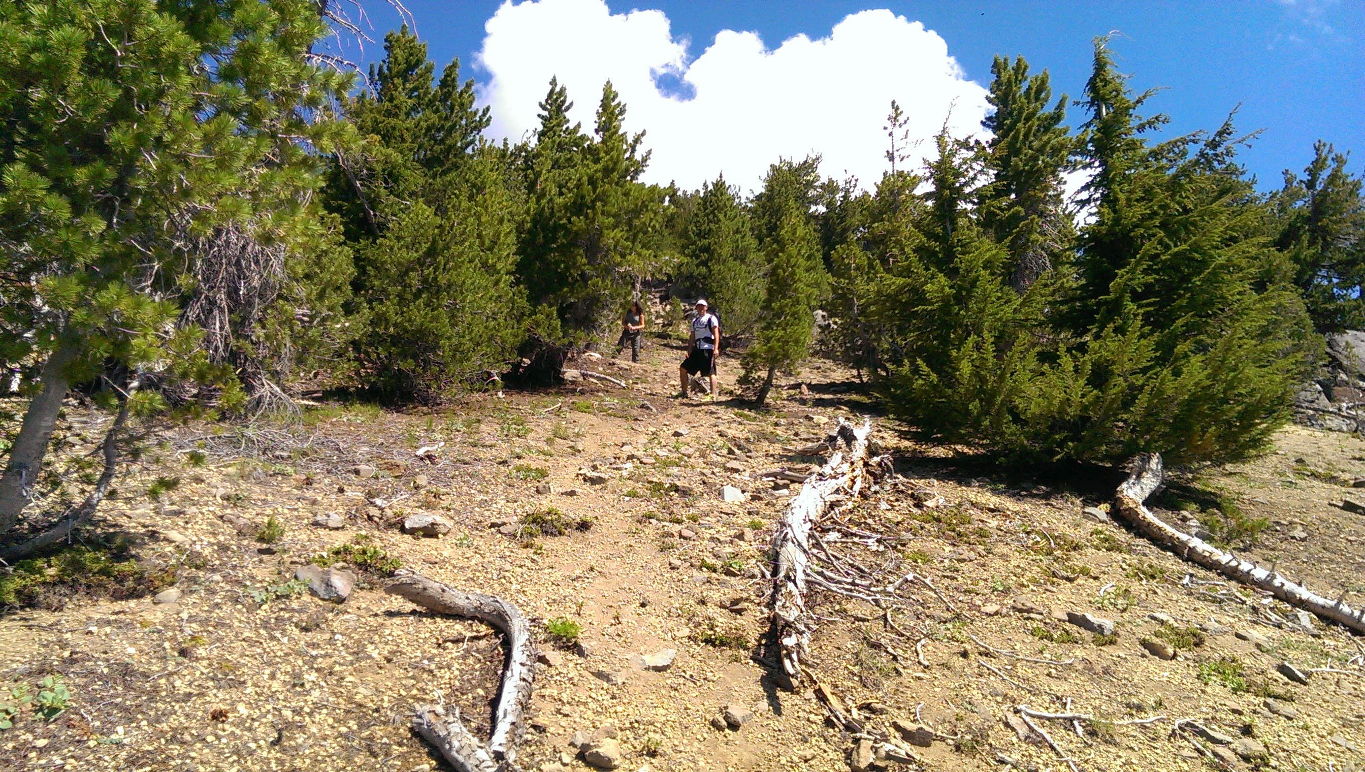 Camper submitted image from Crater Lake Campground - 2