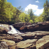 Review photo of Boone Fork Campground by Caroline G., August 5, 2018