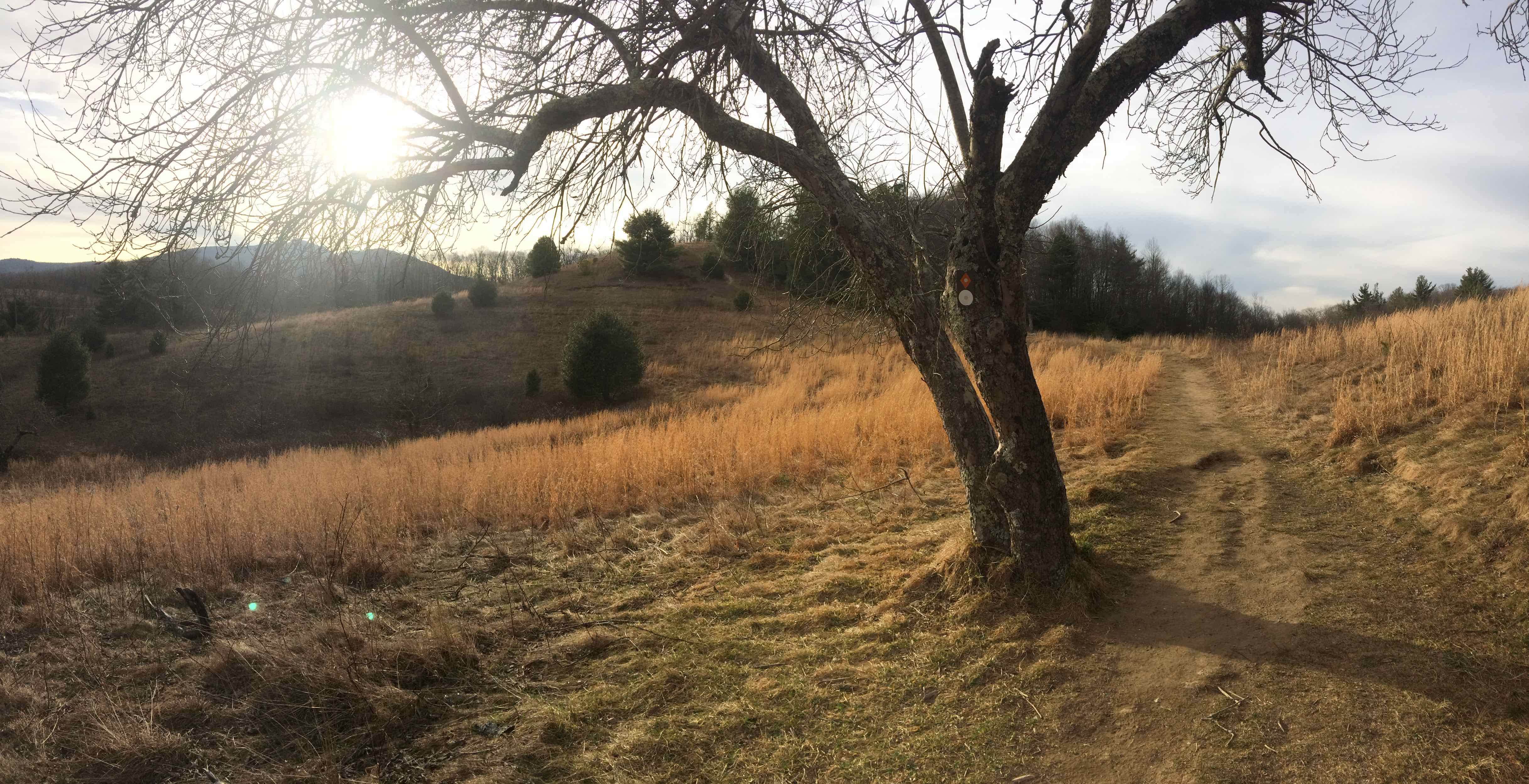 Camper-submitted photo at Boone Fork Campground near Statesville, NC