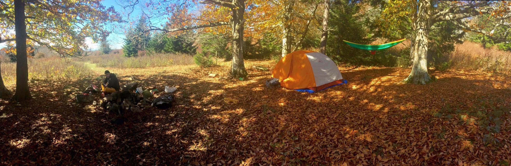 Caroline G.'s photo at Hickory Ridge Campground — Grayson Highlands State Park near Whitetop, VA