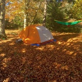 Review photo of Grayson Highlands State Park Campground by Caroline G., August 5, 2018