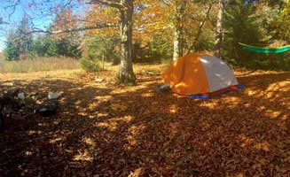Caroline G.'s photo at Hickory Ridge Campground — Grayson Highlands State Park near Sugar Grove, VA