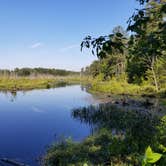 Review photo of Atsion Family Camp — Wharton State Forest by Brianna P., August 5, 2018