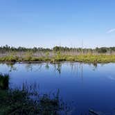 Review photo of Atsion Family Camp — Wharton State Forest by Brianna P., August 5, 2018