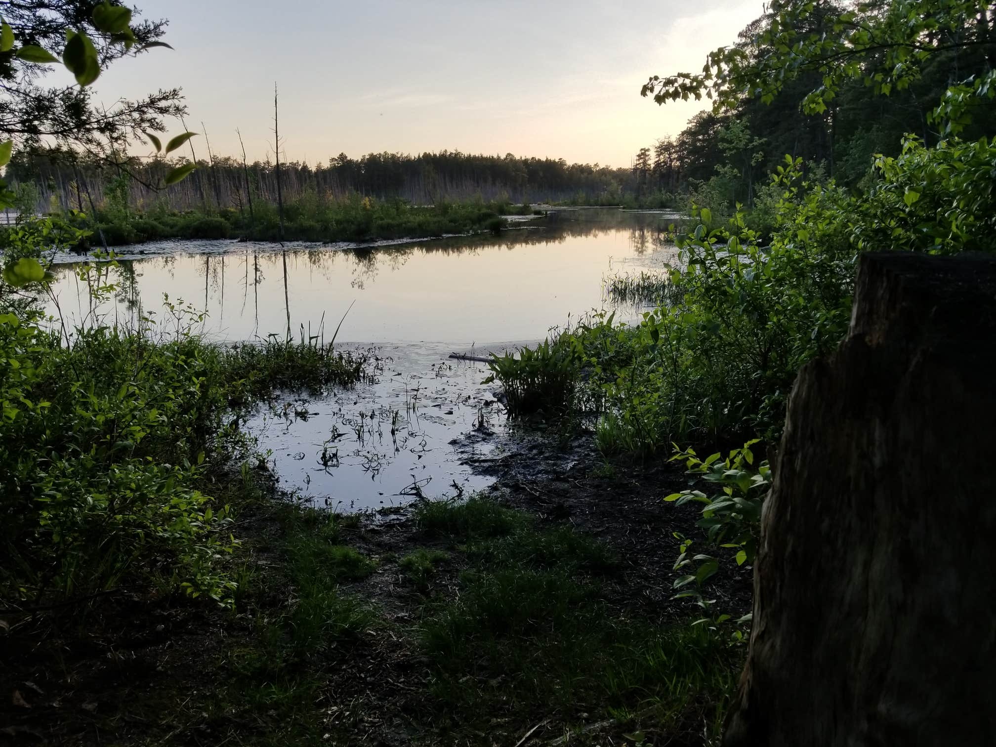 Camper-submitted photo at Atsion Family Camp — Wharton State Forest near Runnemede, NJ