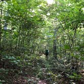 Review photo of Mammoth Cave - Mammoth Cave National Park by Rachelle W., August 5, 2018