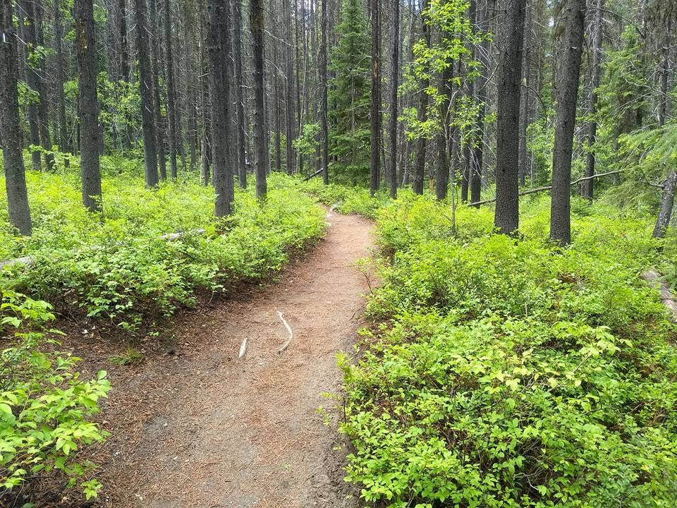Camper submitted image from Colchuck Lake - 2