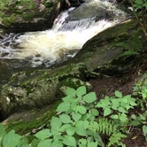 Review photo of Ricketts Glen State Park Campground by Kelly M., August 5, 2018
