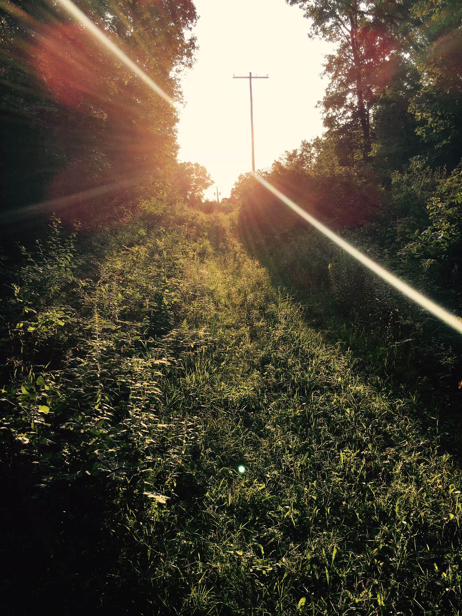 Camper-submitted photo at Metamora-Hadley Recreation Area near Metamora, MI